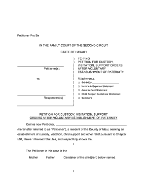 Petition for Custody, Visitation, Support Orders After Voluntary Establishment of Paternity