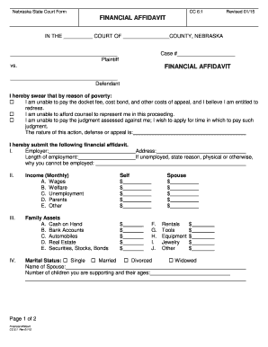 Nebraska Financial Affidavit Form CC 6:1