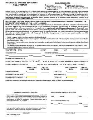 Arizona Income and Expense Statement Affidavit