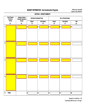 Standard Form 424A Budget Information