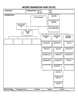 Identity chart template pdf - ics 207