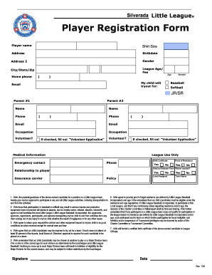 Little League Player Registration Form