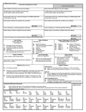 Chapter 7 Voluntary Petition