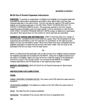 IM-29 Out of Pocket Expenses Form