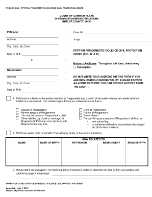 Petition for Domestic Violence Civil Protection Order