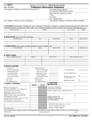 IRS Form 433-F Collection Information Statement
