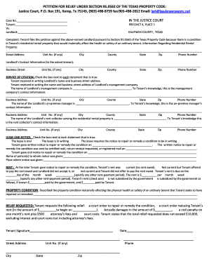Petition for Relief Under Texas Property Code