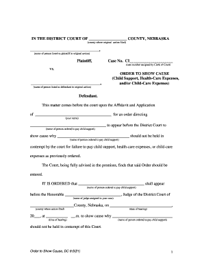 Order to Show Cause for Child Support