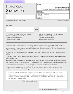 Form E Financial Statement