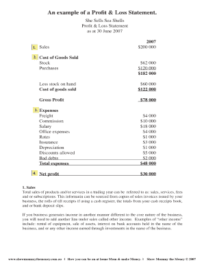 An example of a Profit & Loss Statement.