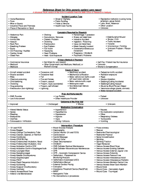 Ohio Generic Patient Care Report
