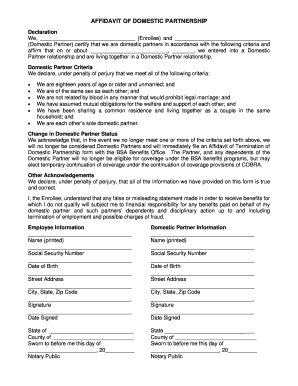 Affidavit of Domestic Partnership