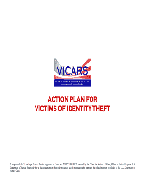 Identity Theft Action Plan