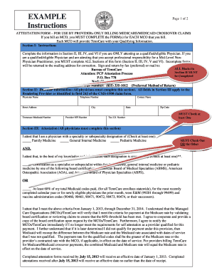 Tennessee Medicaid Physician Attestation Form