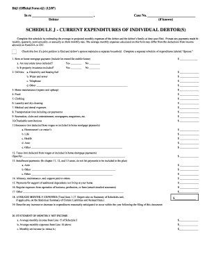 Schedule J - Current Expenditures of Individual Debtor