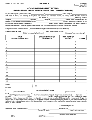 Consolidated Primary Petition Form