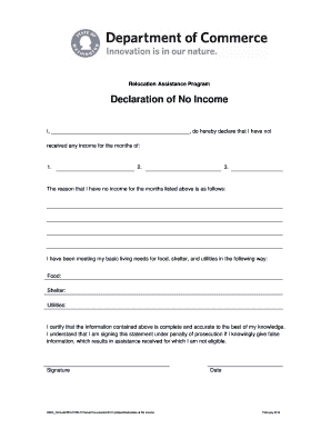 Declaration of No Income