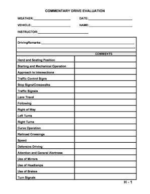 Driving Evaluation Form