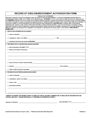 Record of Disclosure/Consent Authorization Form