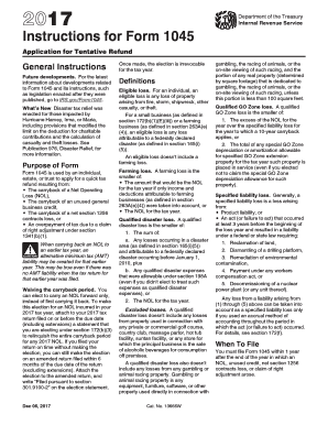Instructions for Form 1045
