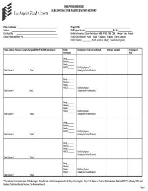 MBE/WBE/DBE/OBE Subcontractor Participation Report