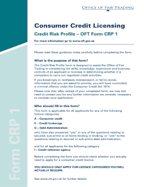 Credit Risk Profile Form