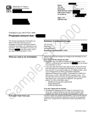 IRS Notice CP2000 2013