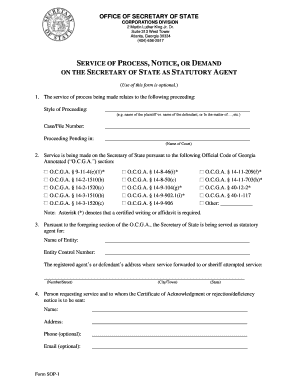 Georgia Service of Process Form