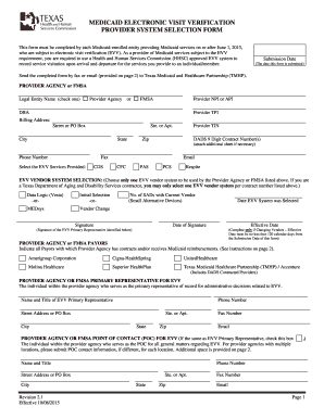 Medicaid Electronic Visit Verification Provider System Selection Form