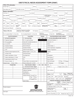 Obstetrical Needs Assessment Form