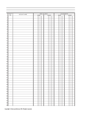 Trial Balance Adjustment Form