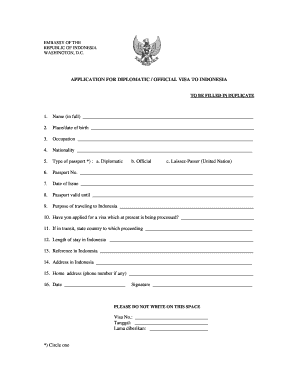 Indonesia Diplomatic Official Visa Application