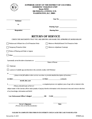 Domestic Violence Civil Protection Order Return of Service