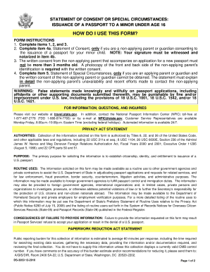 US Passport Consent Form for Minors