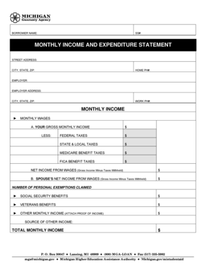 Michigan Monthly Income and Expenditure Statement
