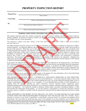Texas Property Inspection Report