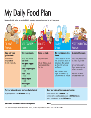 My Daily Food Plan Worksheet