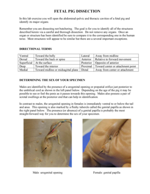 Fetal Pig Dissection Lab Guide