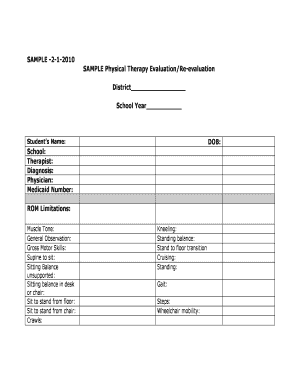 Physical Therapy Evaluation Form