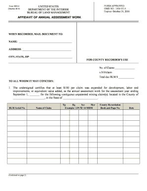 US Federal Annual Assessment Work Affidavit