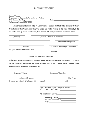Florida Power of Attorney for Motor Vehicle Security