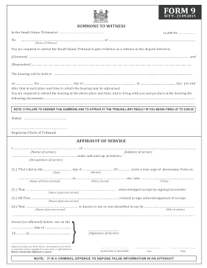 Small Claims Tribunal Witness Summons