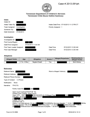 Tennessee Child Abuse Hotline Summary Form
