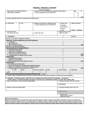 Federal Financial Report Form