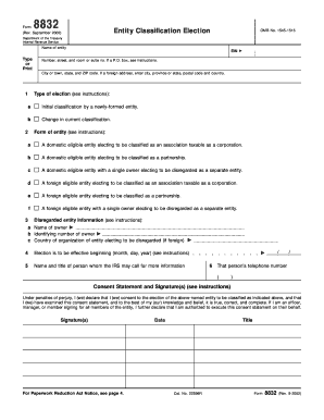 Entity Classification Election Form 8832