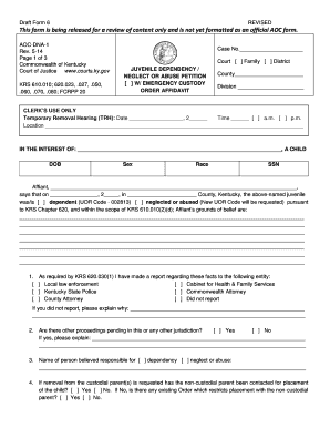 Kentucky Juvenile Dependency Neglect or Abuse Petition