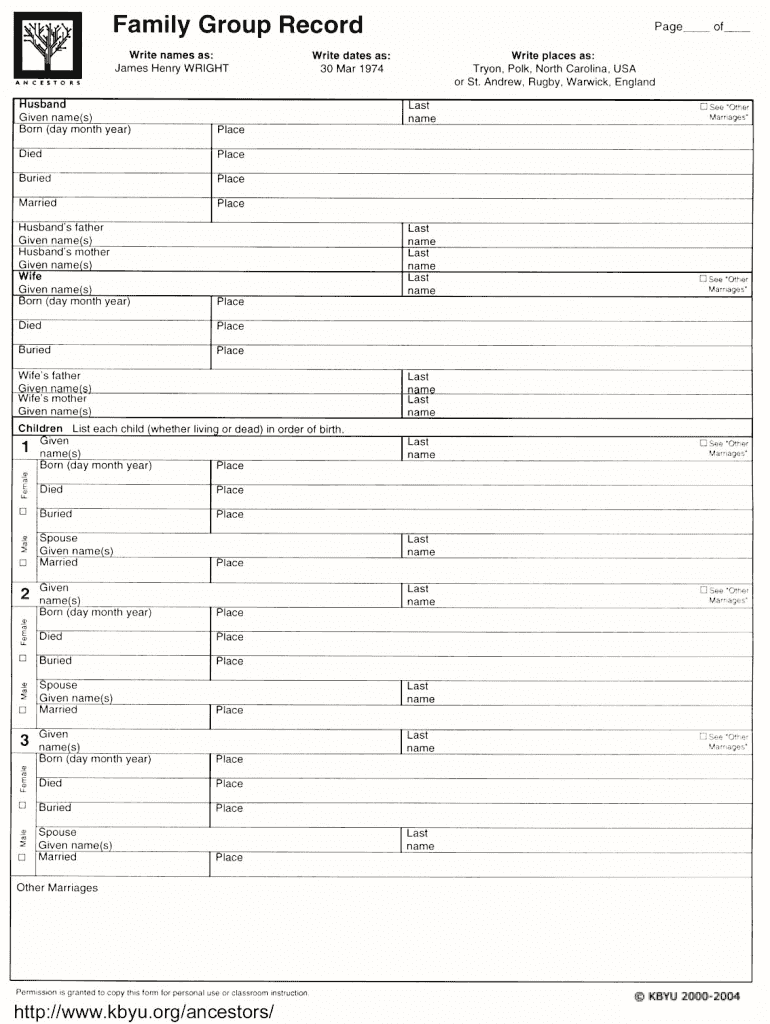 Family Group Record Form Fill Online Printable Fillable Blank 