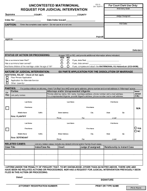 Uncontested Matrimonial RJI Form UD-13