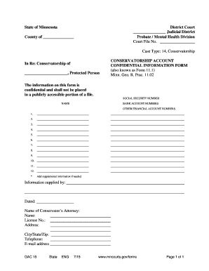 Minnesota Conservatorship Account Form