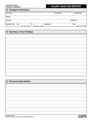 Injury Analysis Report